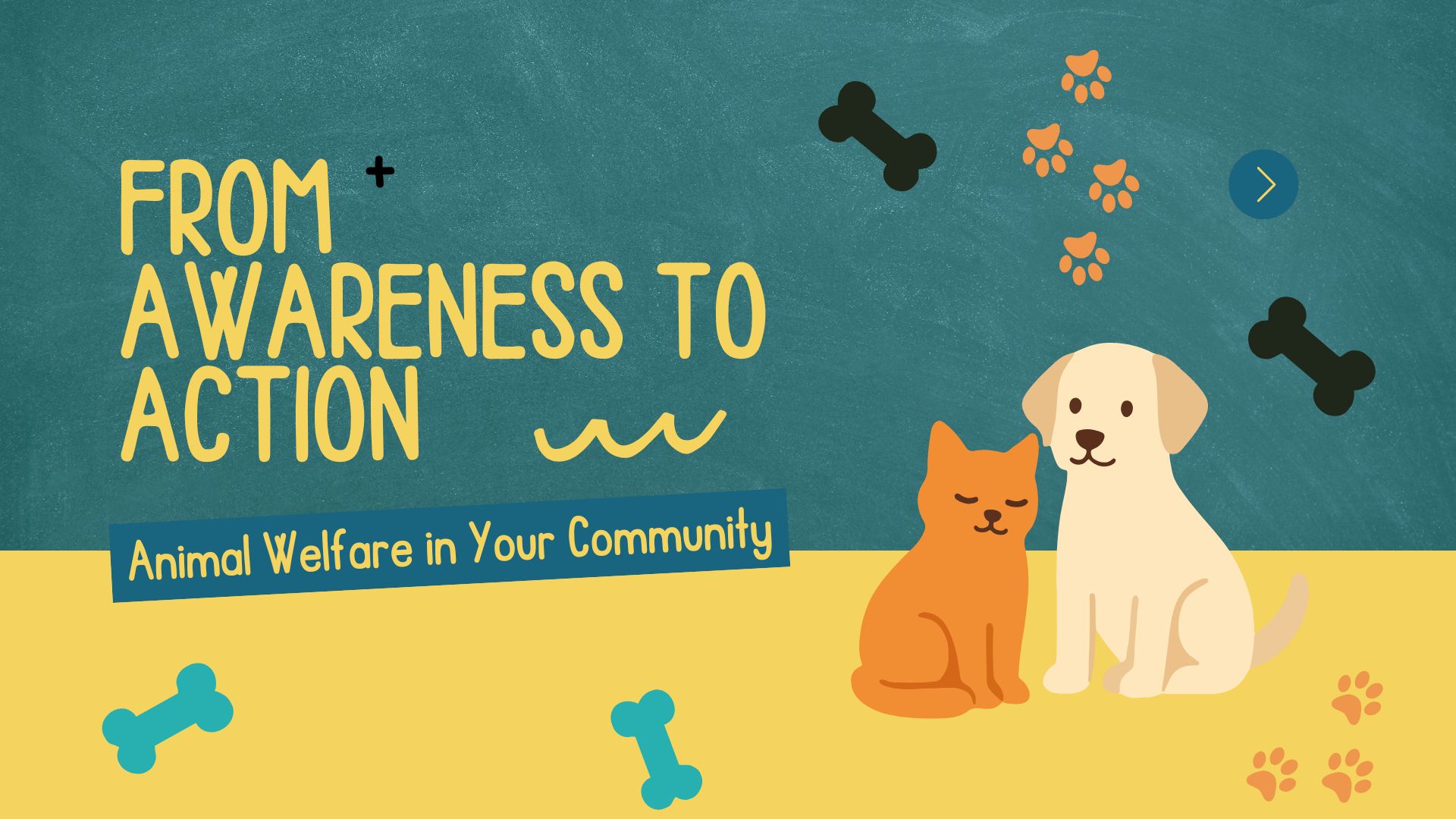 Animal Welfare Course